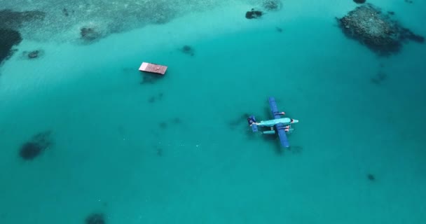 Veduta aerea di motoscafo in avvicinamento idrovolante galleggiante in acque turchesi — Video Stock