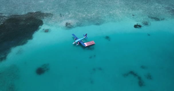 Motorlu teknenin turkuaz suda yüzen deniz uçağının havadan görüntüsü. — Stok video