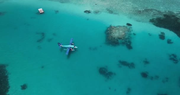 Vue aérienne d'un bateau à moteur s'approchant d'un hydravion flottant en eau turquoise — Video