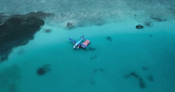 Vue aérienne d'un bateau à moteur s'approchant d'un hydravion flottant en eau turquoise — Video