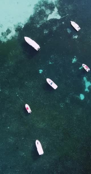 Vue aérienne des bateaux sur l'eau bleue, atoll de North Male, île de Huraa, — Video