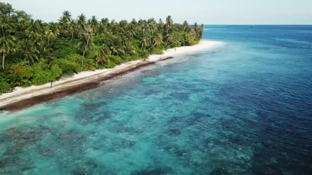 Vista aérea de la isla tropical, Maldivas — Vídeo de stock