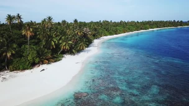 Tropik adanın havadan görünüşü, Maldivler — Stok video