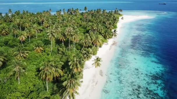 Luftaufnahme der tropischen Insel Malediven — Stockvideo