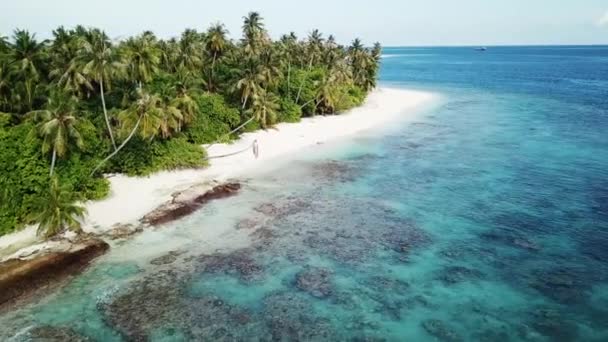 Вид с воздуха на тропический остров, Мальдивы — стоковое видео