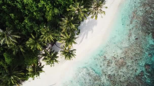 Widok z lotu ptaka, Malediwy — Wideo stockowe