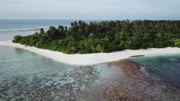 Aerial view of tropical island, Maldives — Stock Video