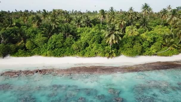 Vista aérea da ilha tropical, Maldivas — Vídeo de Stock