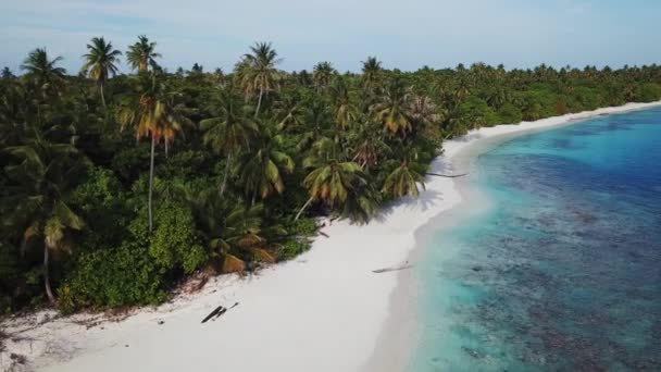 Aerial view of tropical island, Maldives — Stock Video