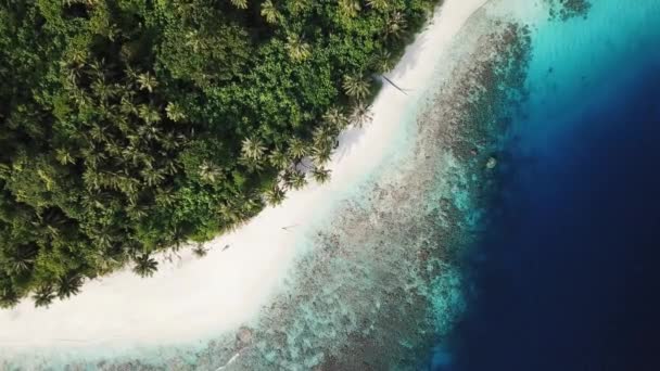 Vista aérea de la isla tropical, Maldivas — Vídeo de stock