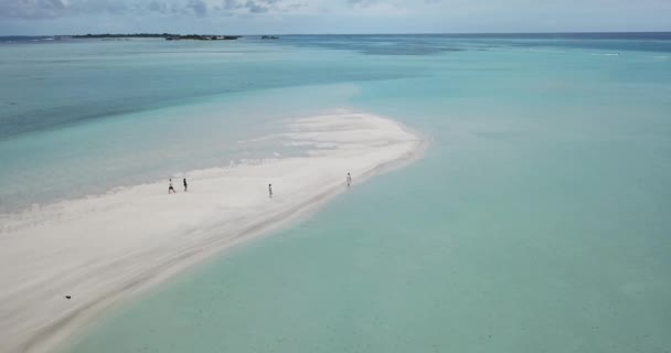 Kumlu sahil boyunca yürüyen dört kişinin hava görüntüsü — Stok video