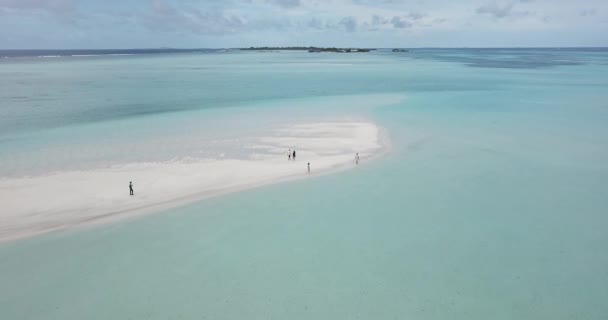 Vue aérienne de quatre personnes marchant le long de la côte sablonneuse — Video
