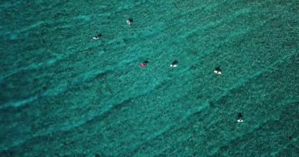 Veduta aerea dei surfisti sulle onde del mare, Maldive — Video Stock