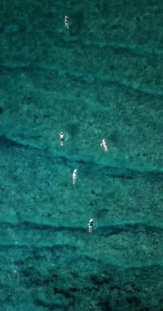 Aerial view of surfers on sea waves, Maldives — Stock Video