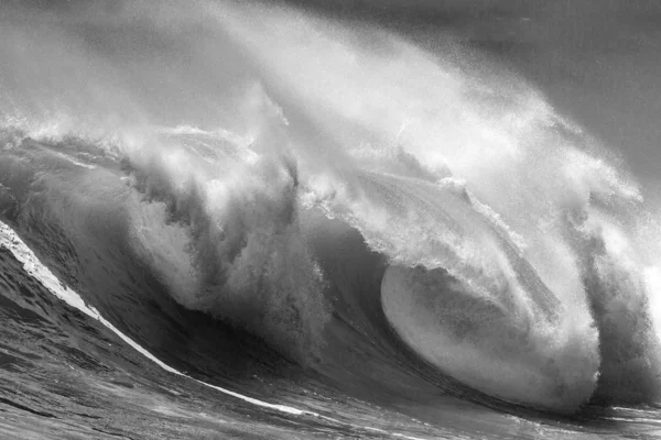 Onda oceânica — Fotografia de Stock