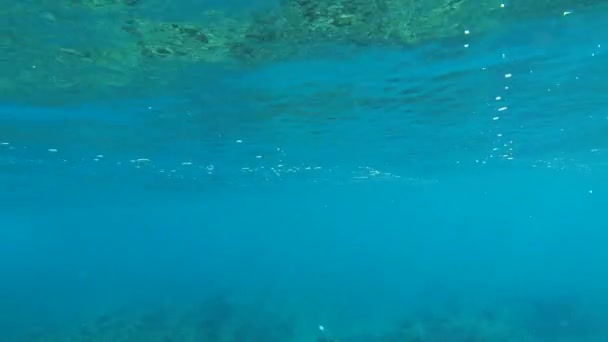 Víz alatti kilátás az óceán hullámaira — Stock videók