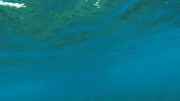 Подводный вид на океан — стоковое видео