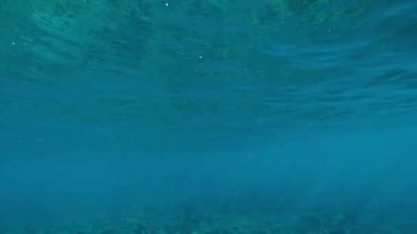 Undervattensutsikt över havsvågor — Stockvideo