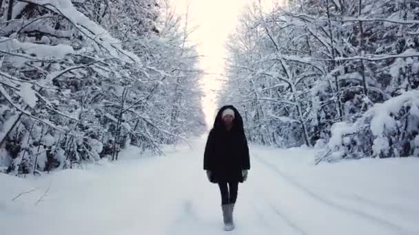 Женщина, гуляющая в снежном лесу — стоковое видео