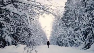 Kar ormanlarında yürüyen bir kadın