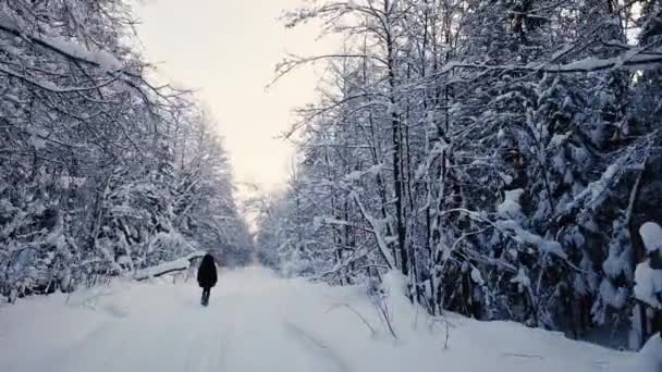 Жінка ходить у сніжному лісі — стокове відео