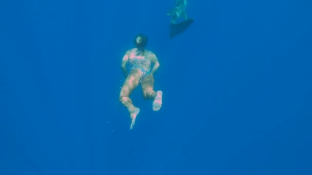 Mladá žena plavání s zdravotní sestrou žraloci v moři — Stock video