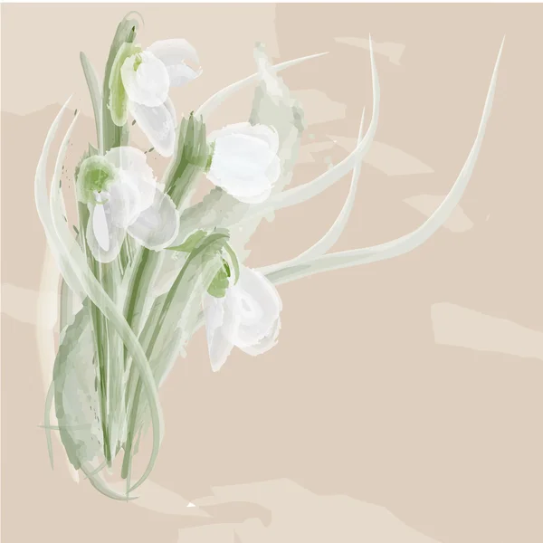 Bouquet of art snowdrops — Stock Vector