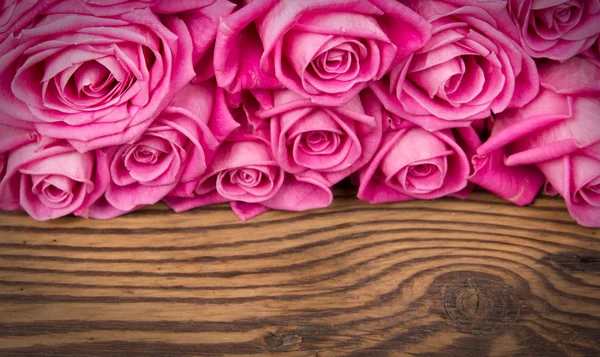 Flores de rosas — Foto de Stock