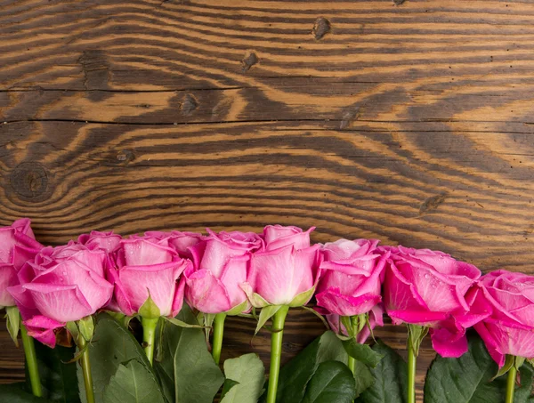 Rose bloom — Stock Photo, Image