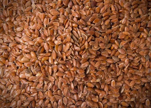 Семена льна — стоковое фото