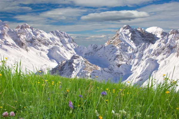 Berge und Gras — Stockfoto