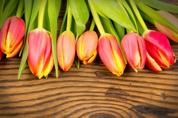 Tulpenstrauß — Stockfoto