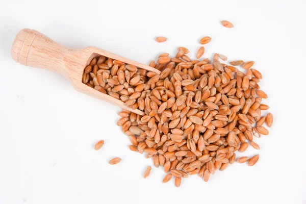 Scoop with seeds — Stock Photo, Image