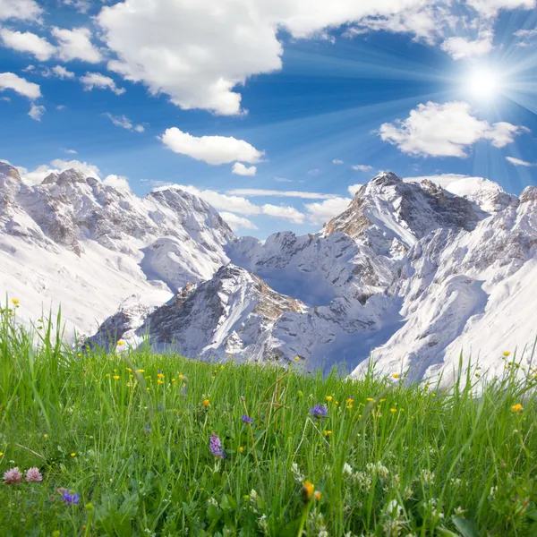 Berge und Gras — Stockfoto