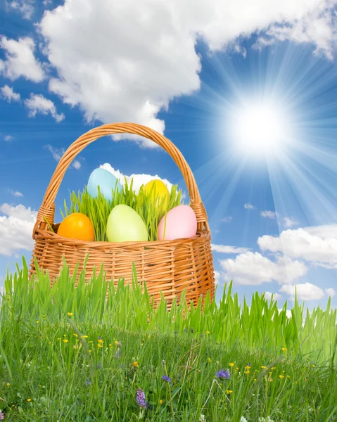 Basket — Stock Photo, Image