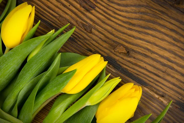 Tulpenstrauß — Stockfoto