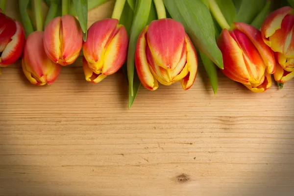 Tulpenstrauß — Stockfoto