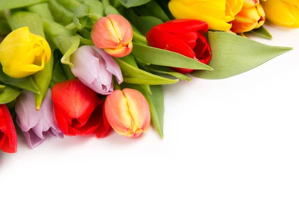 Tulip bouquet Royalty Free Stock Images