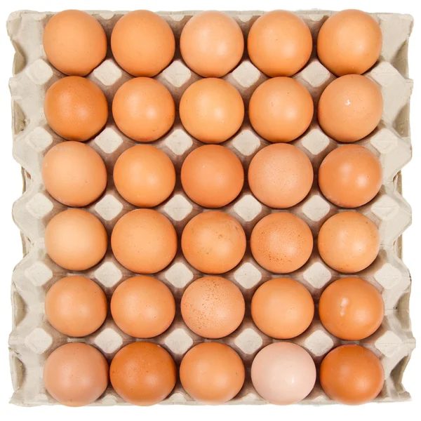 Eggs in a box — Stock Photo, Image