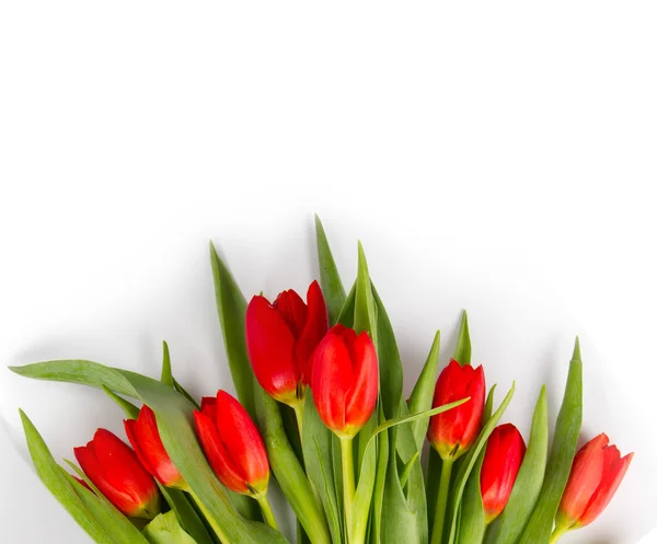 Bouquet di tulipano — Foto Stock