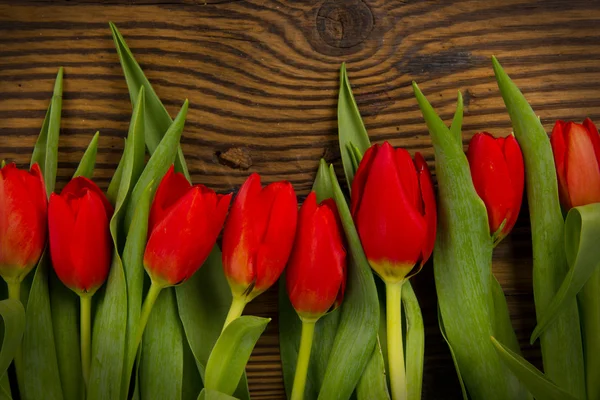 Tulpenstrauß — Stockfoto