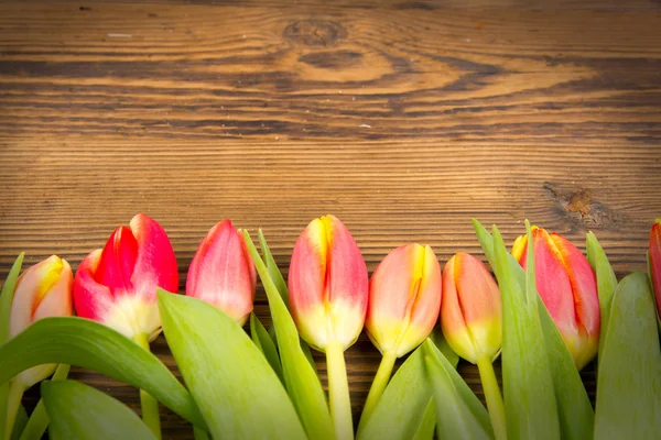 Tulpenstrauß — Stockfoto