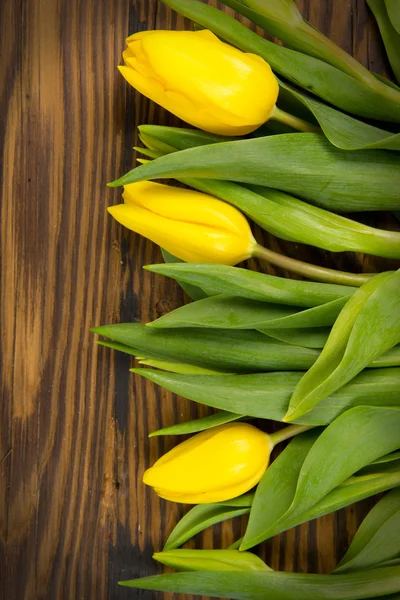 Buquê de tulipa — Fotografia de Stock