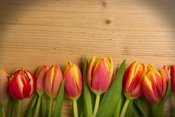 Tulpenstrauß — Stockfoto