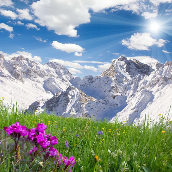 Berge und Gras — Stockfoto
