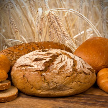 ekmek ve buns