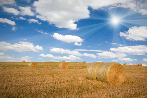 Straw bales — Stock Photo, Image