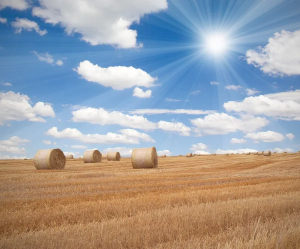 Straw bales — Stock Photo, Image