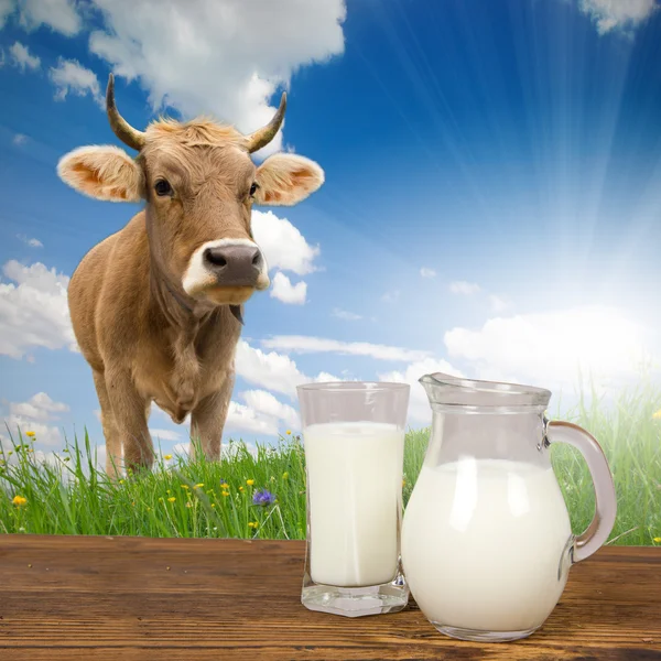 Concepto de leche —  Fotos de Stock