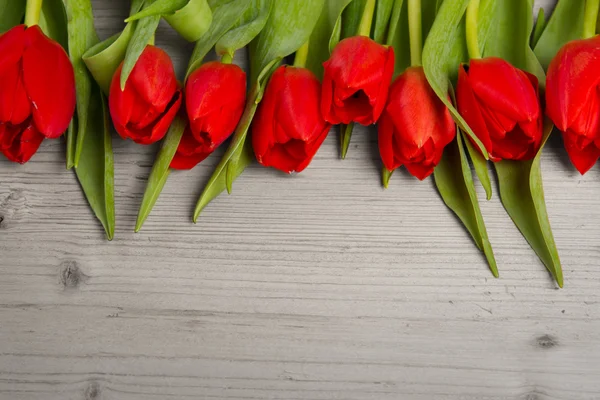 Tulip boeket — Stockfoto